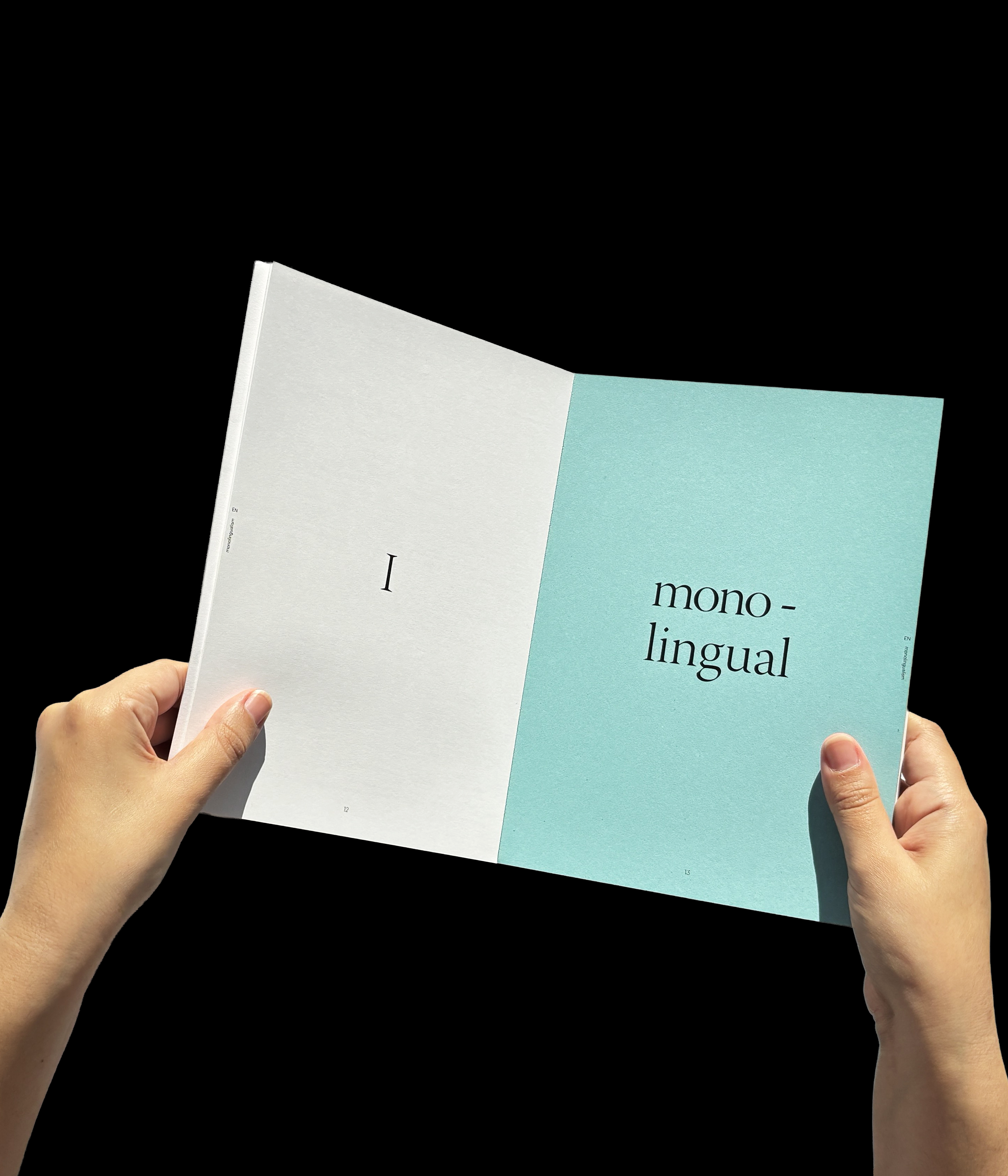 monolingual mindset spread, teal stock