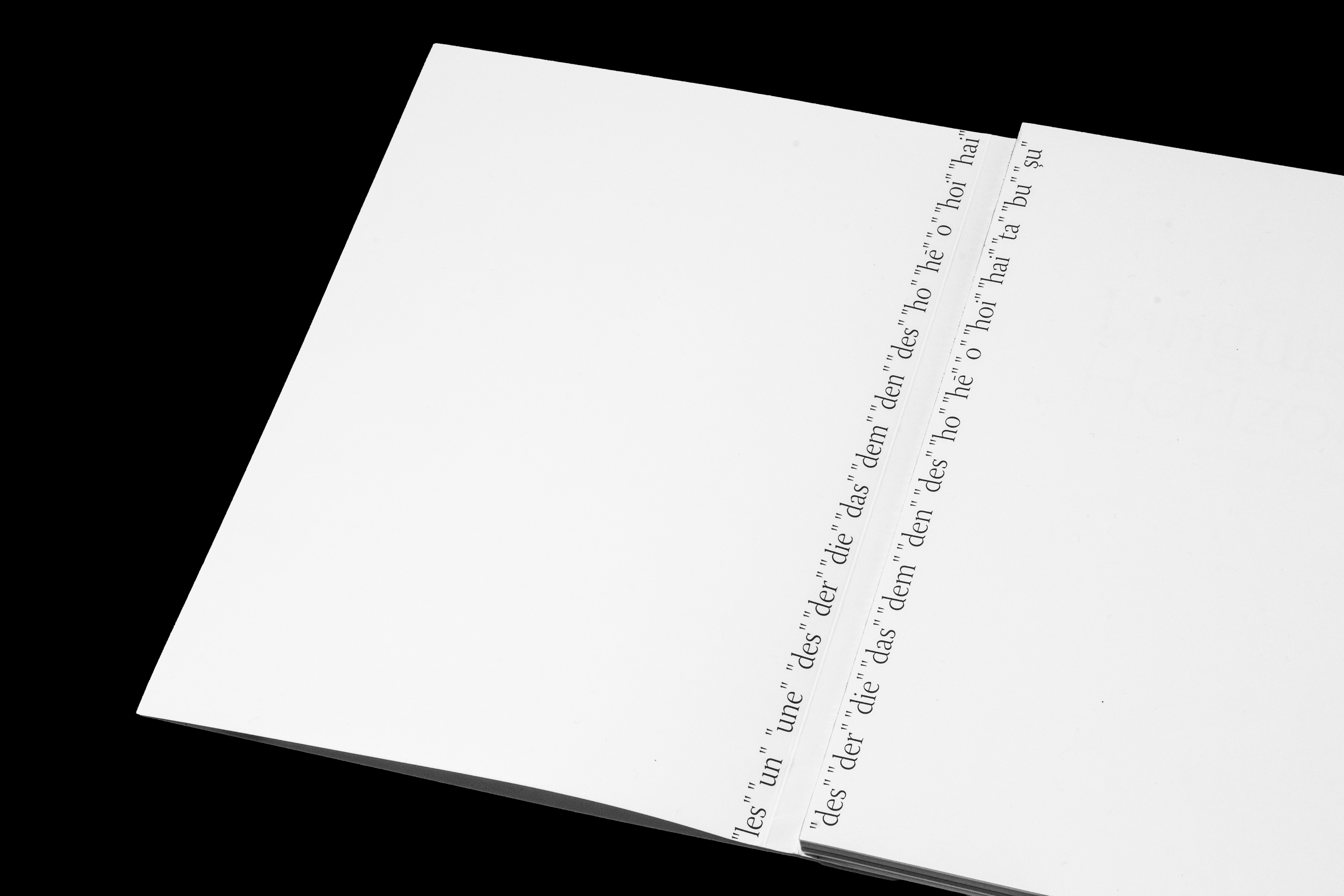 Linguistic Horizons —  Inside spine